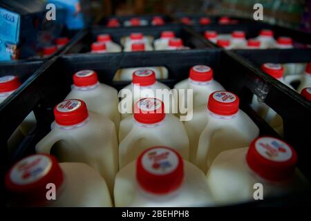 Ellettsville, États-Unis. 13 avril 2020. Le lait est l'un des articles disponibles à Pantry 279, un garde-manger pour aider ceux qui souffrent d'insécurité alimentaire pendant le séjour à la maison COVID-19/Coronavirus les orderHoosiers ont été commandés pour voyager seulement pour des besoins essentiels. Crédit: SOPA Images Limited/Alay Live News Banque D'Images