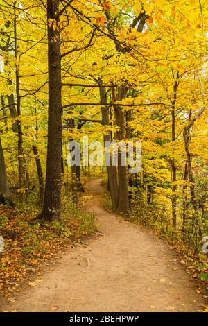 Dundas Valley escarpement du Niagara Hamilton Ontario Canada à l'automne Banque D'Images