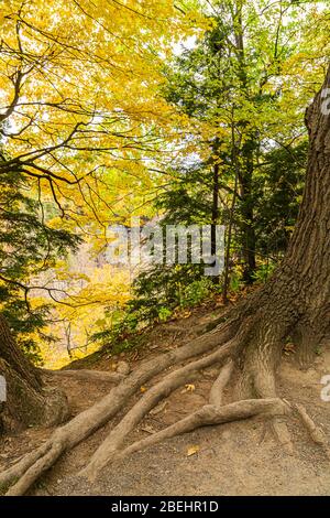 Dundas Valley escarpement du Niagara Hamilton Ontario Canada à l'automne Banque D'Images