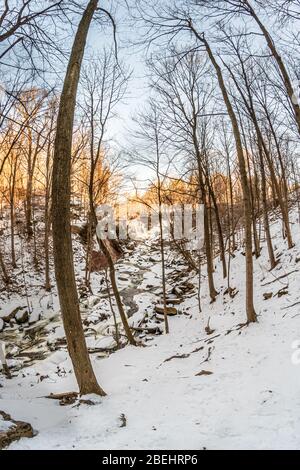 Aire de conservation des chutes d'eau de Smokey Hollow Waterdown Ontario Canada en hiver Banque D'Images