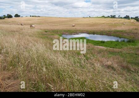 Paysage panoramique de l'agriculture classé avec des balles de paille et barrage d'eau. La scène agricole rurale Banque D'Images
