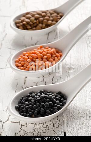 Différents lentilles assorties se mélangent avec des lentilles béluga rouges, brunes et noires dans des cuillères blanches sur fond de table en bois blanc - foyer sélectif Banque D'Images