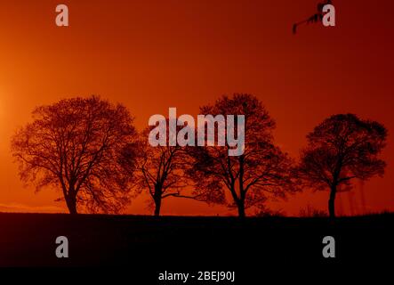 Schwerin, Allemagne. 14 avril 2020. Le soleil se lève derrière un groupe d'arbres au lac Schwerin et couleur le ciel orange-rouge. Crédit: Jens Büttner/dpa-Zentralbild/dpa/Alay Live News Banque D'Images