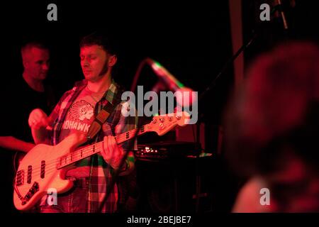 Czestochowa, Pologne - 7 février 2014: Music club Teatr de Pologne, TFP (Théâtre de Pologne) concert du groupe polonais rock, blues et reggae Banque D'Images
