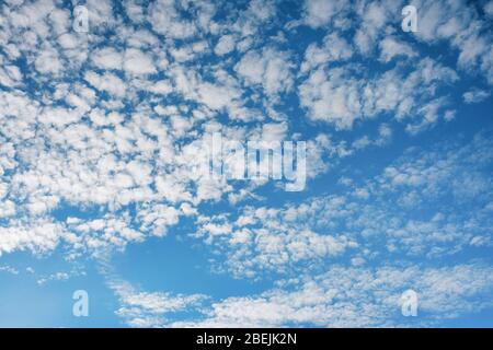 Cirrus blanc, nuages de plumes contre ciel nuageux bleu clair de printemps le jour ensoleillé en Angleterre Banque D'Images