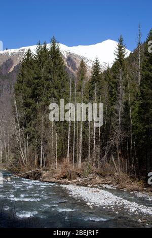 Marchez le long de la rivière depuis Morzine dans les Alpes françaises. Banque D'Images