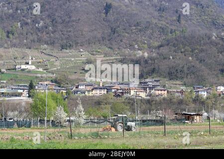 Pergine Valsugana, Italie. 11 avril 2020. Pergine Valsugana, Italie. 11 avril 2020: Un homme travaille avec un tracteur dans un champ un verrouillage en profondeur est en place en Italie pour essayer de ralentir la propagation de l'épidémie de coronavirus. Pour la plupart des gens, le nouveau coronavirus ne cause que des symptômes légers ou modérés. (Photo de Pierre Teyssot/ESPA-Images) crédit: Agence européenne de photo sportive/Alay Live News Banque D'Images