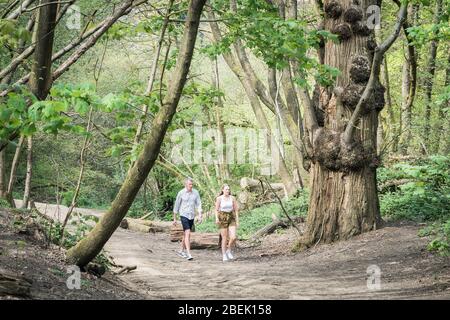 Reigate, Surrey, Royaume-Uni - 12 avril 2020 - deux promenades dans un parc; les personnes vivant dans un seul ménage ont permis de s'exersser ensemble pendant l'éclosion de coronavirus Banque D'Images