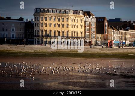 Oiseaux et bâtiment sur le front de mer de Margate Banque D'Images