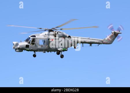 Lynx HMA8 Banque D'Images