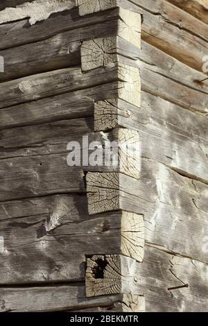 Joints de base en queue d'aronde reliant les murs adjacents d'un simple chalet en bois en Roumanie Banque D'Images