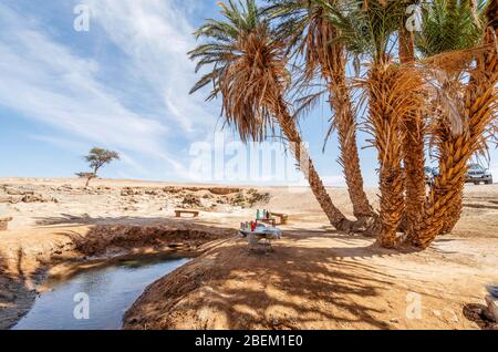 Oasis avec palmiers sur dessert Sahara, Maroc, Afrique Banque D'Images