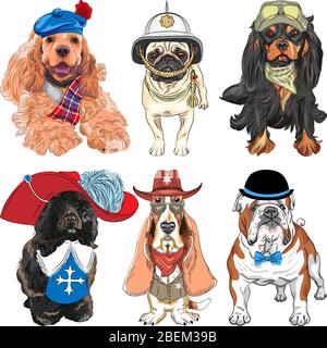 Ensemble de chiens. Cavalier King Charles Spaniel, Basset Hound comme shérif, Buldog anglais, chien d'eau portugais comme mousquetaire, Pug en casque britannique Illustration de Vecteur