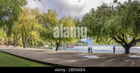 QUEENSTOWN, NOUVELLE-ZÉLANDE - 19 novembre 2019: Paysage urbain avec de grands arbres au bord de la mer de la ville touristique, tourné dans un lumineux printemps le 19 novembre 201 Banque D'Images