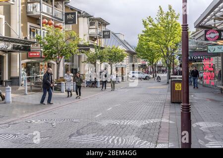 QUEENSTOWN, NOUVELLE-ZÉLANDE - 19 novembre 2019: Paysage urbain avec une rue commerciale bordée d'arbres au centre-ville touristique, tourné dans un lumineux printemps Banque D'Images