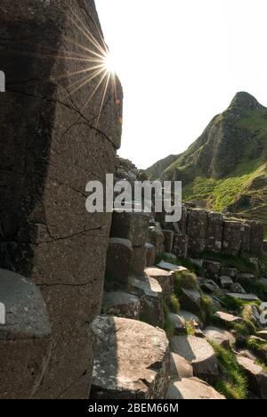 Le soleil éclatant sur quelques pierres à la chaussée des Géants, la côte d'Antrim, l'Irlande du Nord, Royaume-Uni Banque D'Images
