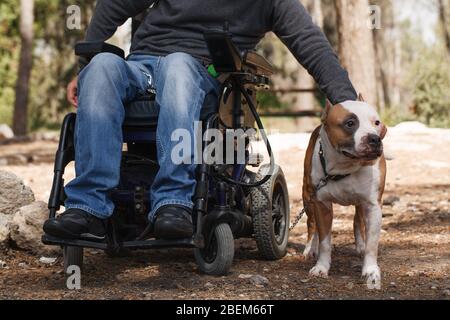 Jeune homme en fauteuil roulant avec son fidèle chien marchant dans le parc Banque D'Images