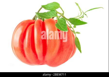 La tomate fraîche isolé sur fond blanc Banque D'Images