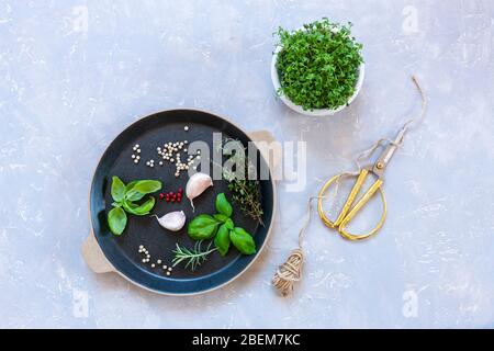 Salade de cresson, microgreens et herbes épicées, assaisonnements, épices. Vue de dessus rapprochée sur un fond gris clair Banque D'Images