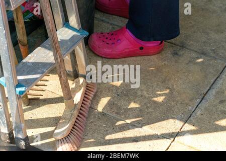 Gros Crocs roses dans la serre Banque D'Images
