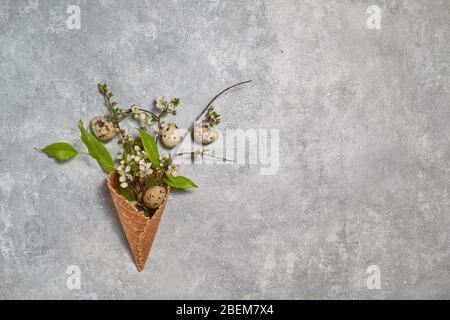 composition de pâques. oeufs de caille et feuilles vertes dans un cône de gaufres sur fond gris. Banque D'Images