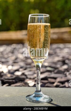 Vue rapprochée d'un verre de champagne à flûte unique à l'extérieur isolé contre une scène de jardin floue à l'arrière-plan Banque D'Images