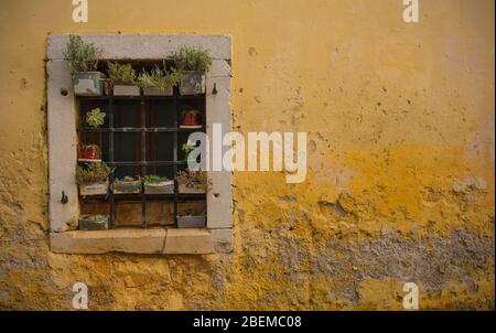 Une fenêtre dans un ancien bâtiment historique dans le village de Stanjel, dans la municipalité de Komen à Primorska, au sud-ouest de la Slovénie. Banque D'Images