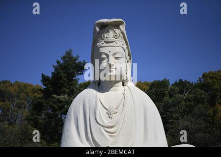 Kyoto. 14 avril 2020. KYOTO, JAPON - 14 AVRIL : sur cette photo, on voit le sanctuaire commémoratif Ryozen Kannon WW II à Kyoto, 14 avril 2020, préfecture de Kyoto, Japon. (Photo: Richard Atrero de Guzman/ AFLO) crédit: AFLO Co. Ltd./Alay Live News Banque D'Images