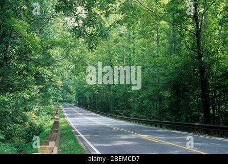 Mountain Waters Scenic Byway, Nantahala National Forest, Caroline du Nord Banque D'Images