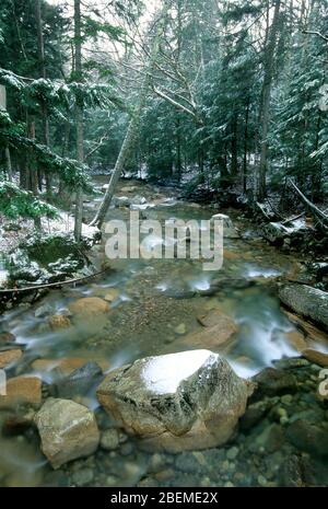 Rivière Pegegasset, au-dessous du bassin, parc national Franconia Notch, New Hampshire Banque D'Images