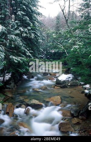 Rivière Pegegasset, au-dessous du bassin, parc national Franconia Notch, New Hampshire Banque D'Images