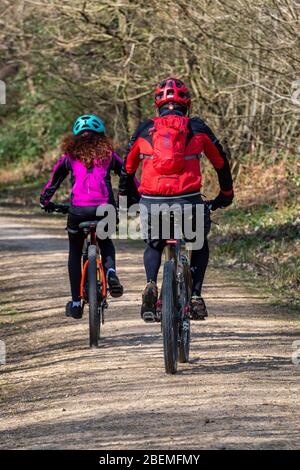 un homme et une femme qui font du vélo à travers une forêt sur une piste cyclable ou un sentier à travers la forêt. Banque D'Images