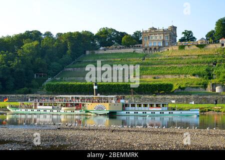 Dresde, Allemagne, 07-18-2017, un vieux bateau à vapeur appelé Pillnitz avec des passagers sur la rivière Elbe près du palais de la porte Banque D'Images