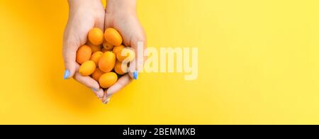 Girl holding une poignée de kumquat mûrs sur un fond lumineux jaune, vue du dessus Banque D'Images