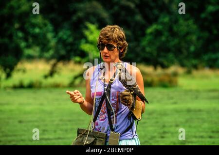 Jemima Parry-Jones avec falcon au National Birds of Prey Center en 1991 (maintenant le Centre International des oiseaux de Prey) Newent, Gloucestershire, Royaume-Uni Banque D'Images