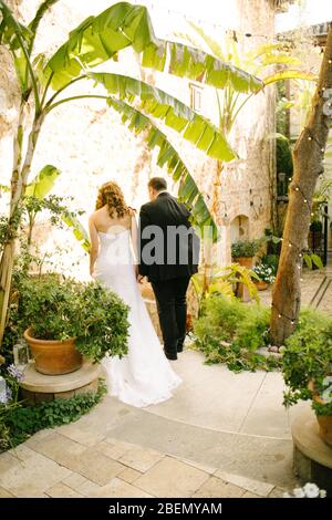 La mariée et le marié marchent côte à côte et main dans la main. Prise de vue de couples. Banque D'Images