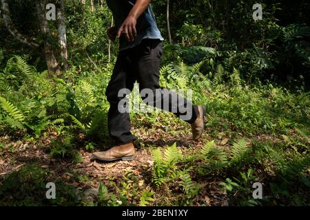 Détail d'un homme avec des bottes en cuir marchant sur un sentier dans la jungle Banque D'Images