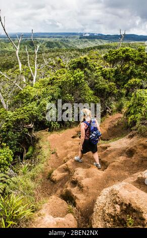 Une femme randonnée sur le sentier Alakai Swamp, le parc national de Koke'e, Kauai, Hawaï Banque D'Images