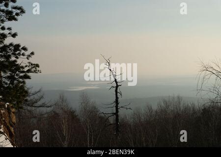 Paysage d'hiver. Horizons forestiers Banque D'Images