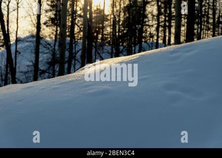 Paysage d'hiver. Horizons forestiers Banque D'Images