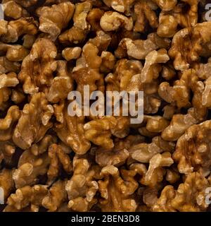 Texture de noyer inclinable et répétitive sans couture Banque D'Images