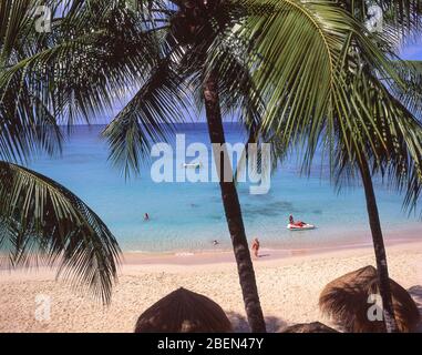 Vue sur la plage tropicale, Tamarind Cove, Barbade, Petites Antilles, Caraïbes Banque D'Images