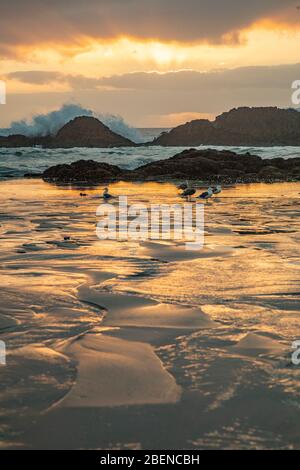 Des vagues s'écrasant sur des rochers naturels au coucher du soleil à Seal Rock, Oregon Banque D'Images