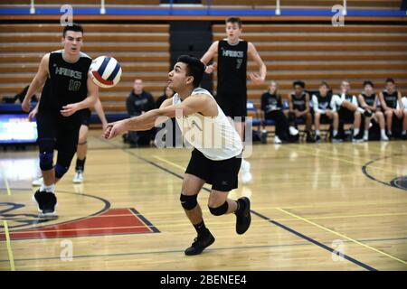 Joueur se déplaçant vers le ballon pour garder un volley vivant. ÉTATS-UNIS. Banque D'Images