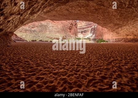 En regardant le fleuve Colorado depuis Redwall Cavern, le parc national du Grand Canyon, Arizona, États-Unis Banque D'Images