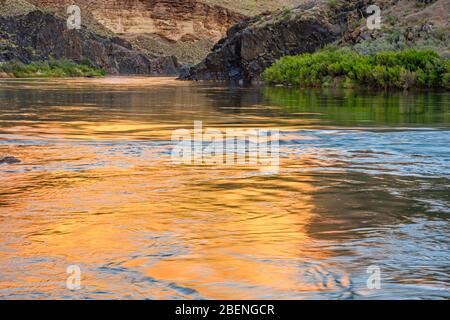 Lumière du soir reflétant les murs du Grand Canyon dans le fleuve Colorado au camp de Blacktail Canyon, parc national du Grand Canyon, Arizona, États-Unis Banque D'Images