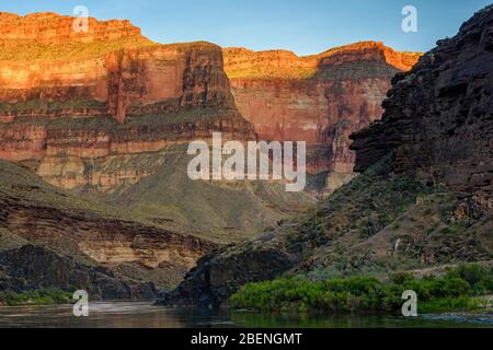Lumière du soir reflétant les murs du Grand Canyon au camp de Blacktail Canyon, parc national du Grand Canyon, Arizona, États-Unis Banque D'Images
