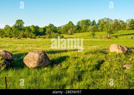Parc provincial North Kawarthas Algonquin Highlands Ontario Canada en été Banque D'Images