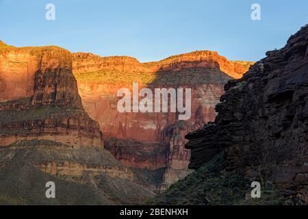 Lumière du soir reflétant les murs du Grand Canyon au camp de Blacktail Canyon, parc national du Grand Canyon, Arizona, États-Unis Banque D'Images