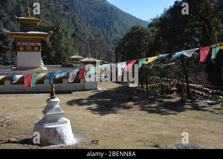 Près de Thimphu, la randonnée jusqu'à la méditation du monastère de Cheri (ChAgri Dorjeden) qui fut fondée en 1621 comme première école monastique au Bhoutan Banque D'Images